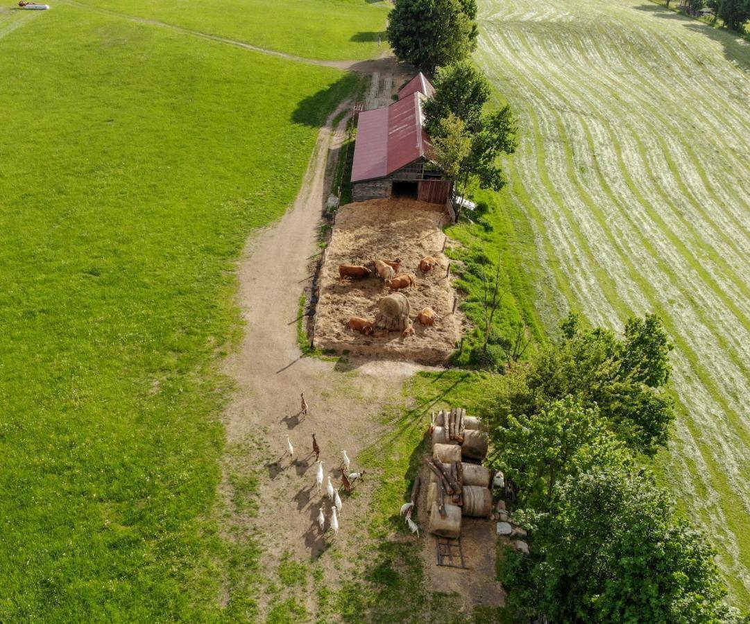 Dylewianka Villa Wysoka Wieś Buitenkant foto