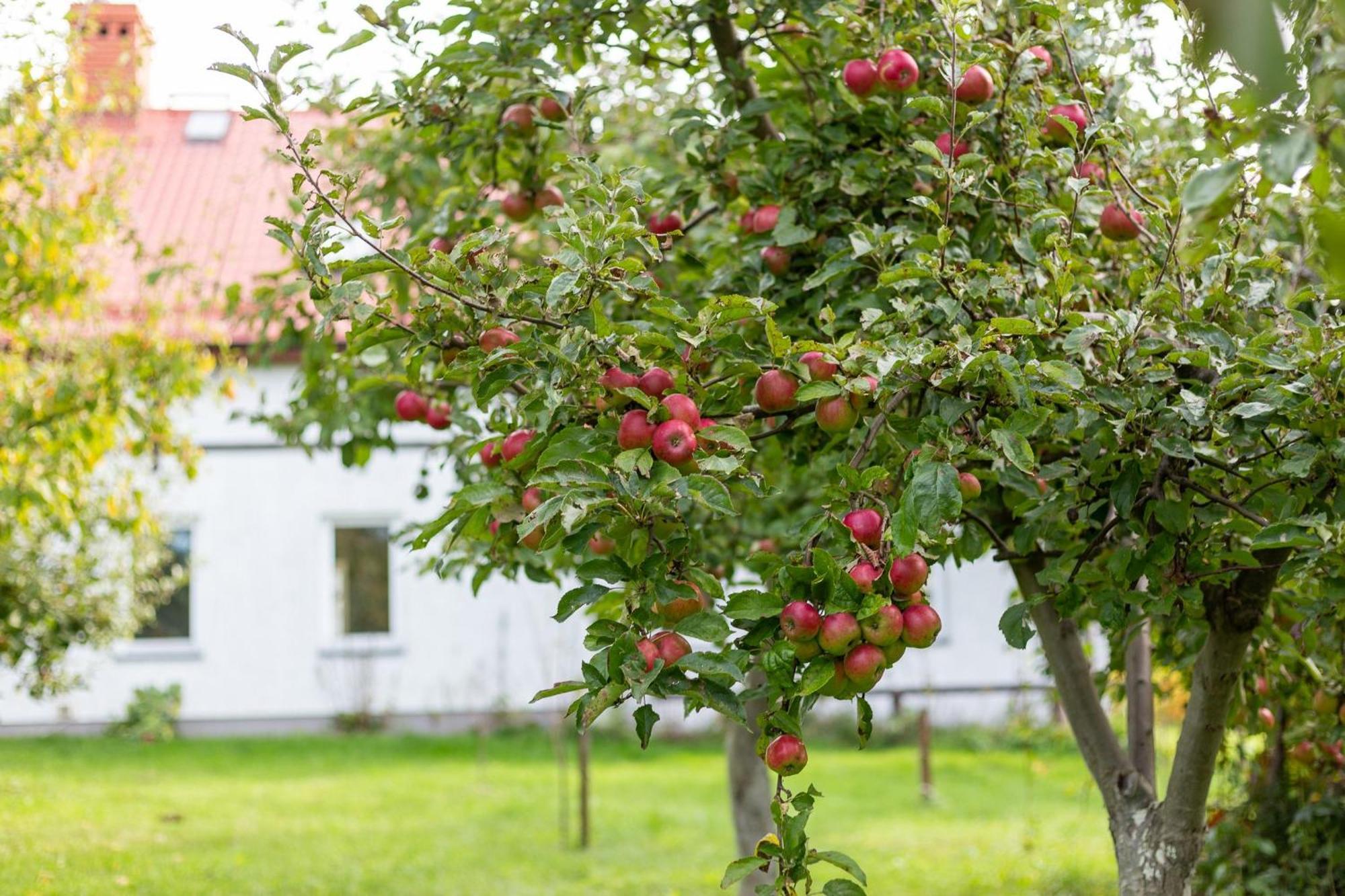 Dylewianka Villa Wysoka Wieś Buitenkant foto