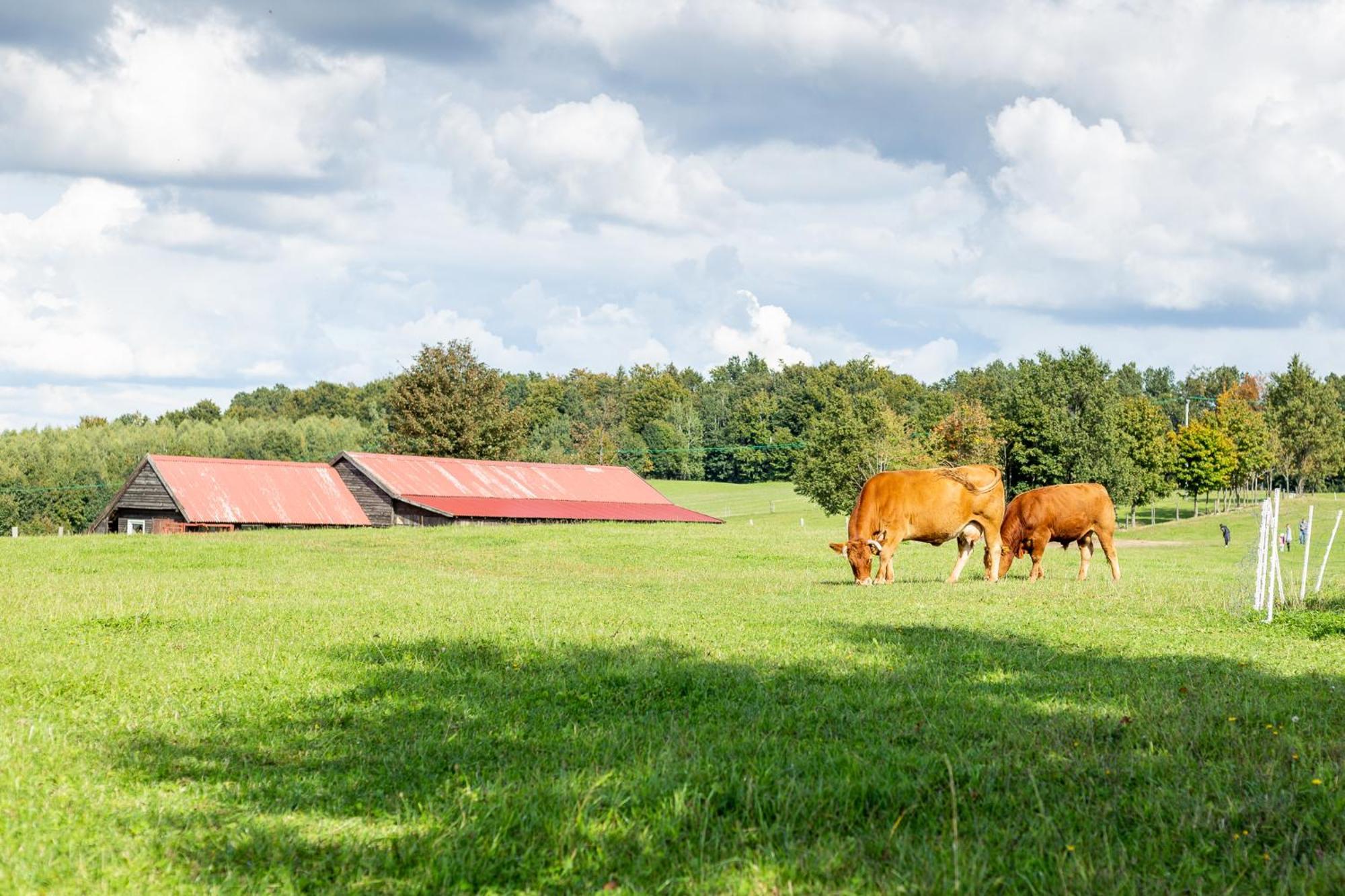 Dylewianka Villa Wysoka Wieś Buitenkant foto