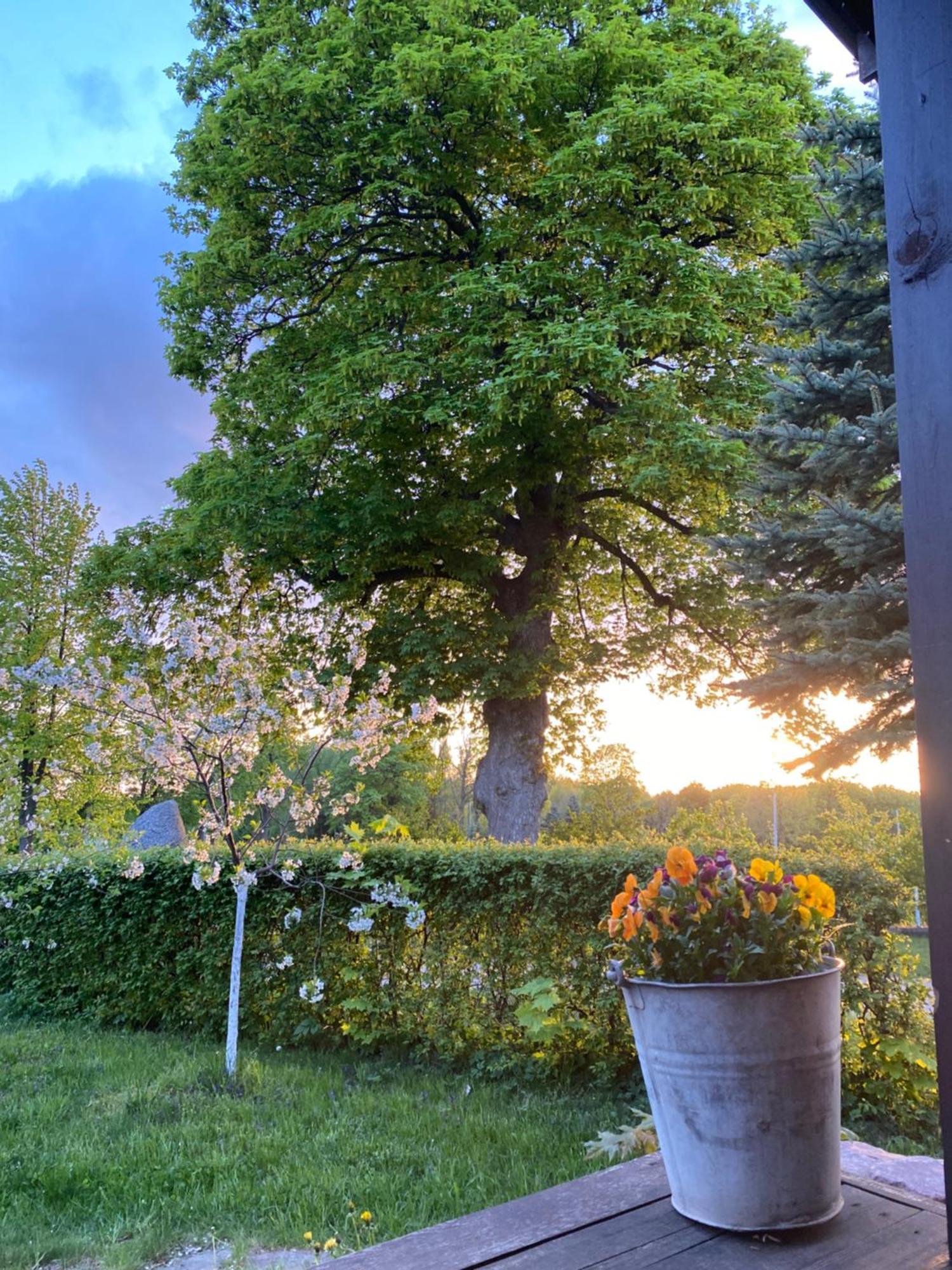 Dylewianka Villa Wysoka Wieś Buitenkant foto