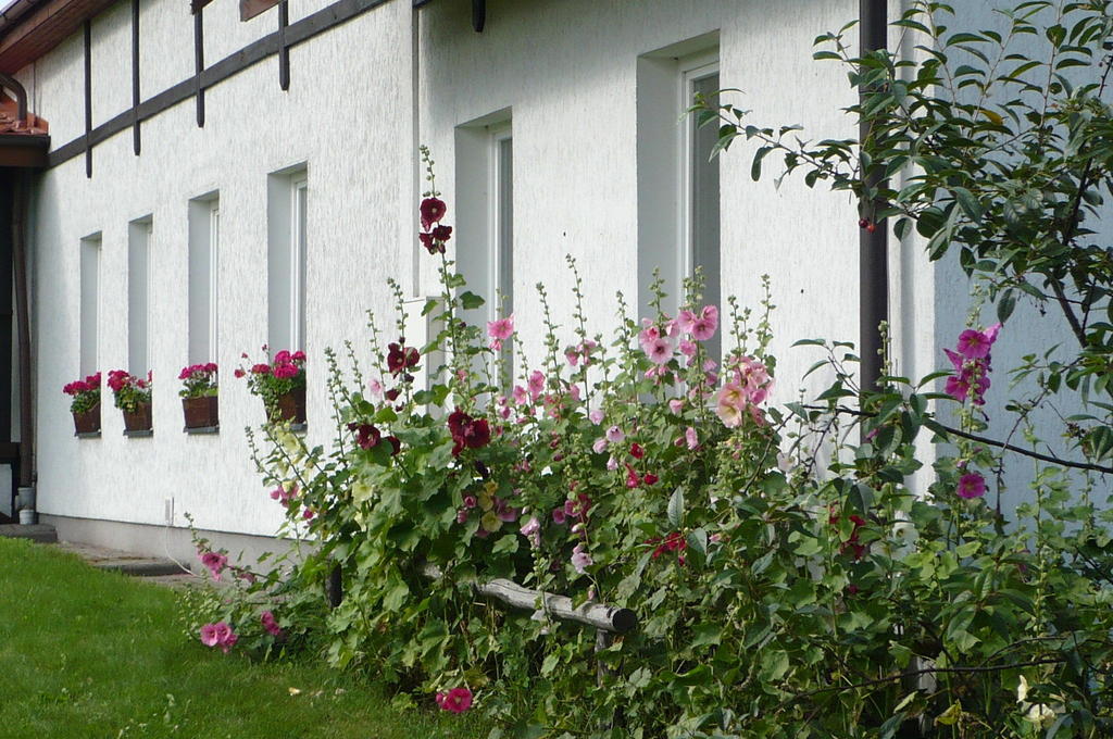 Dylewianka Villa Wysoka Wieś Buitenkant foto